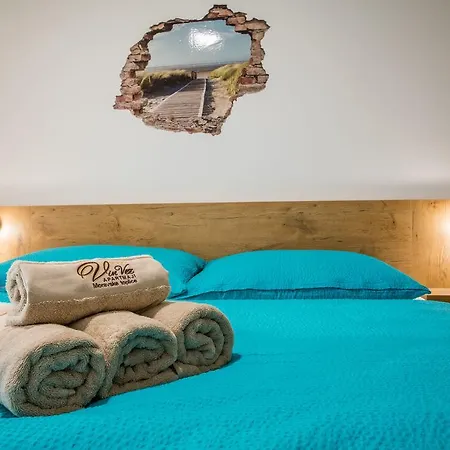 Vin Vez Apartmaji 아파트 모라브스케토플리체