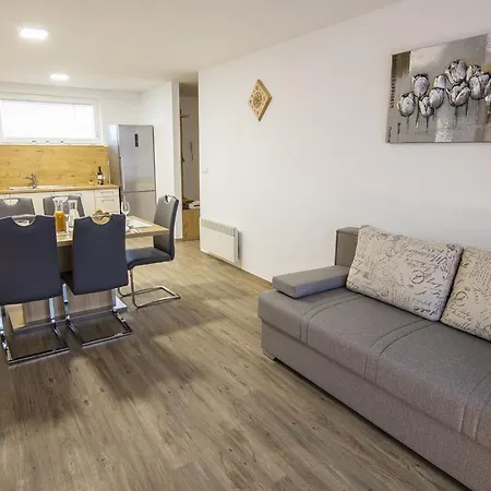 Vin Vez Apartmaji *